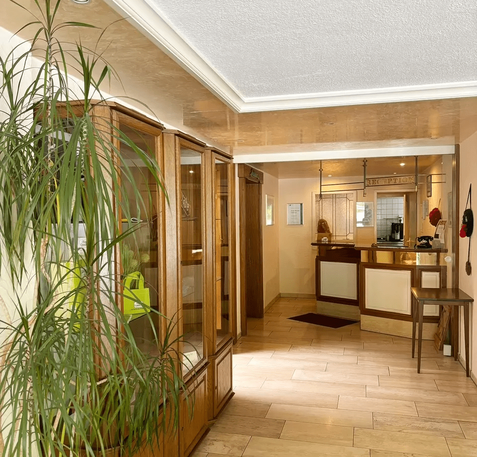 Hotel zum Wasserfall Oberndorf